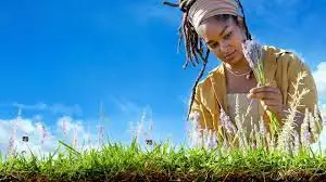 《筑梦田园 第一季》：田园牧歌的诗意生活，治愈系温馨剧集