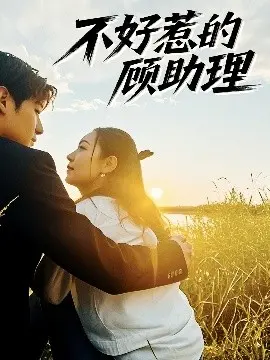 《不好惹的顾助理》：职场风云，爱情与事业的浪漫碰撞