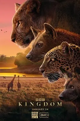 《动物王国2025》：失落的文明与救赎之旅，重新定义生存法则，直击人性最深处！